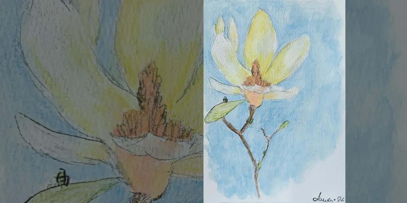 Magnolienblüte, 2026. Aquarell auf Papier, 30x20 cm. Eine einzelne Magnolienblüte mit einem kleinen Käfer und einer ruhigen, zurückhaltenden Farbgestaltung.