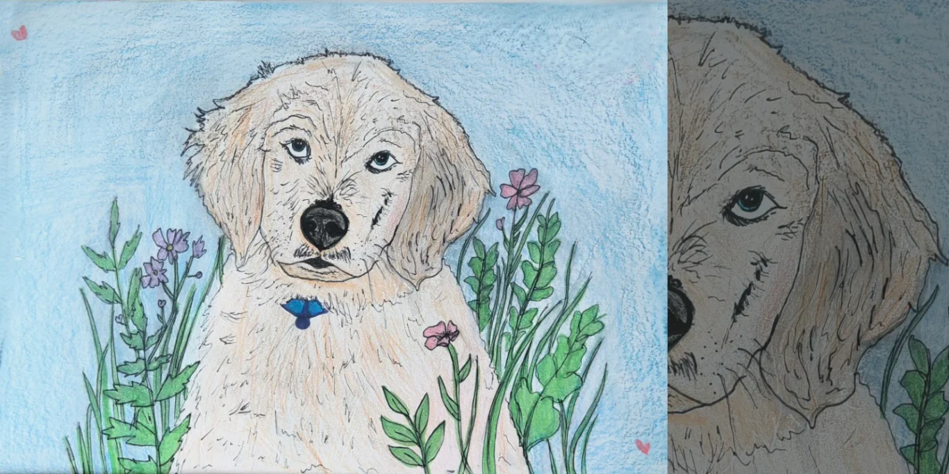 Golden Retriever, 2026. Buntstift + Fineliner auf Papier, 20x30 cm. Ein farbenfrohes Porträt eines Golden Retrievers mit sorgfältig gezeichnetem Fell und dekorativer Blumenbordüre.